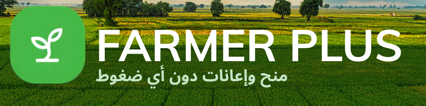 business zone nagłówek