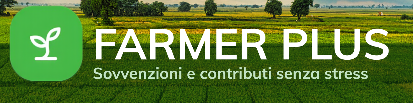 business zone nagłówek